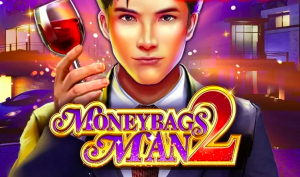 moneybags