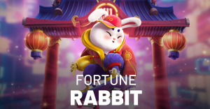 rabbit